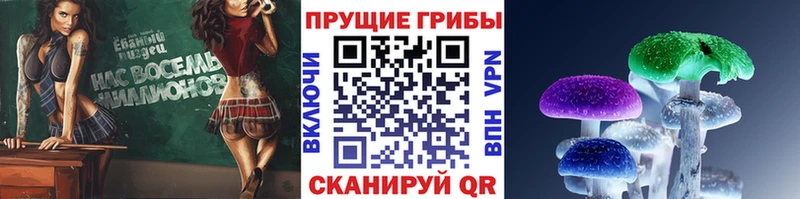 shop клад  Сосновка  Галлюциногенные грибы ЛСД 